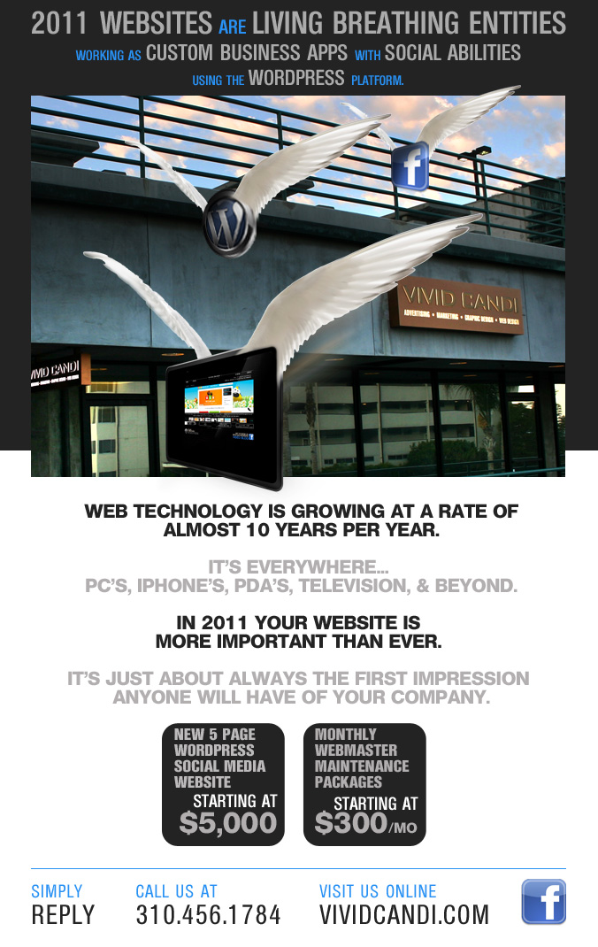 2011_Websites 2011 vivid candi website design